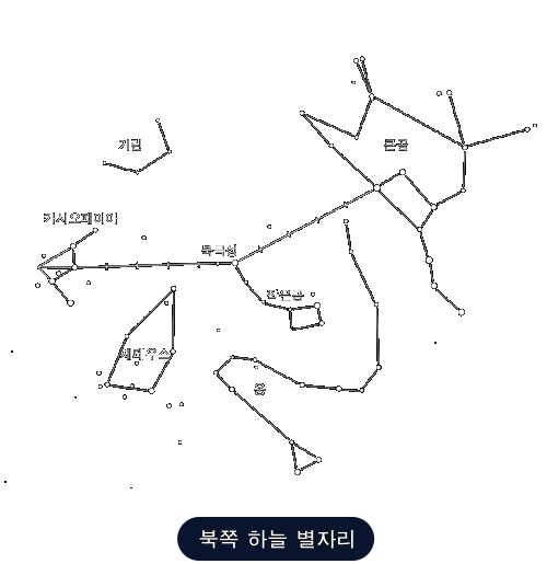 북쪽 하늘의 별자리                                                                                          