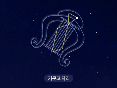 거문고                                                                                                 