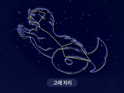 고래                                                                                                  
