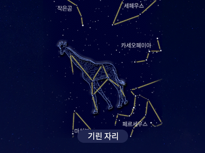 기린                                                                                                  