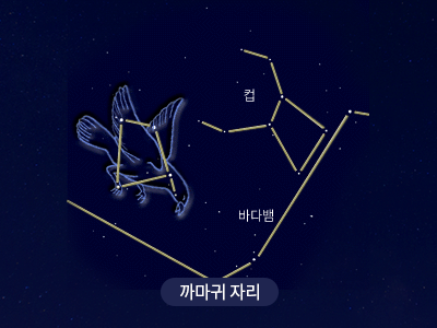 까마귀                                                                                                 
