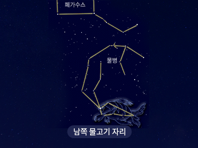 남쪽물고기                                                                                               