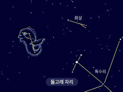 돌고래                                                                                                 
