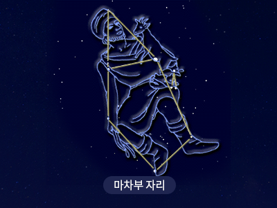 마차부                                                                                                 