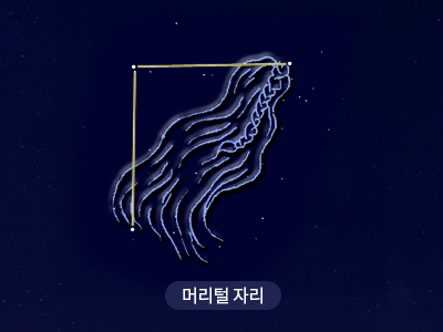 머리털                                                                                                 