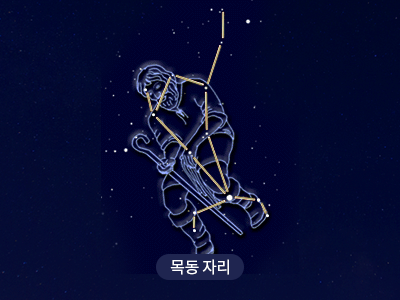 목동                                                                                                  