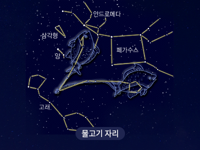 물고기                                                                                                 