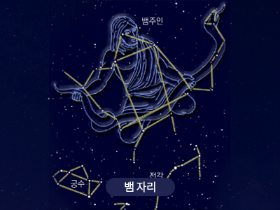 뱀                                                                                                   