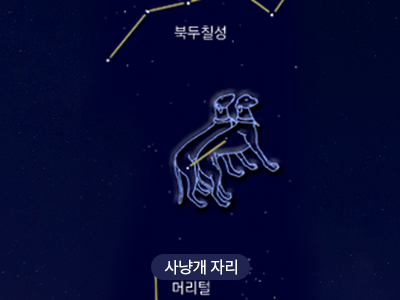 사냥개                                                                                                 