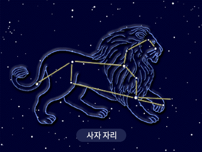 사자                                                                                                  