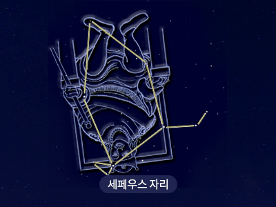 세페우스                                                                                                