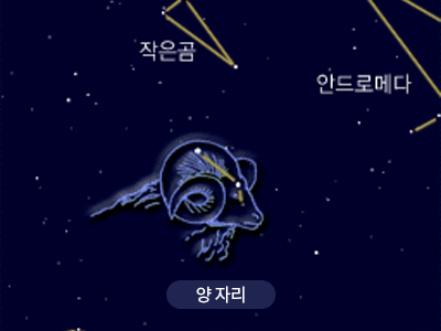 양                                                                                                   