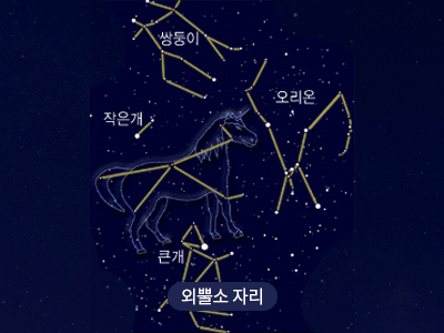외뿔소                                                                                                 