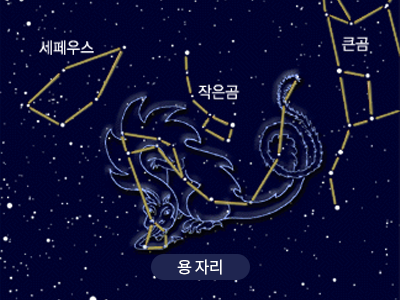 용                                                                                                   