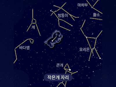 작은개                                                                                                 