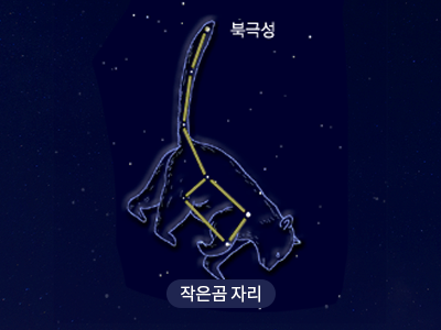 작은곰                                                                                                 