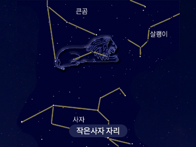 작은사자                                                                                                