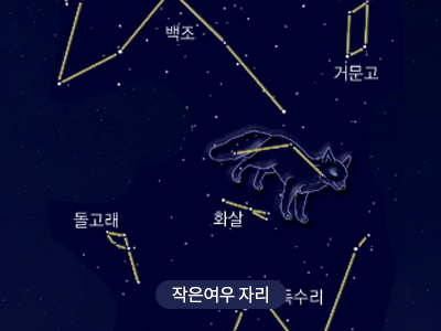 작은여우                                                                                                