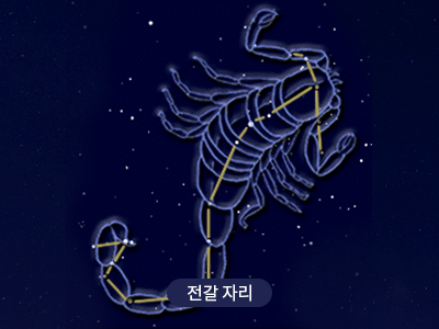 전갈                                                                                                  