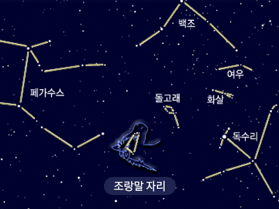 조랑말                                                                                                 