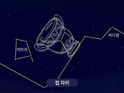컵                                                                                                   