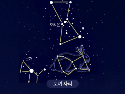 토끼                                                                                                  