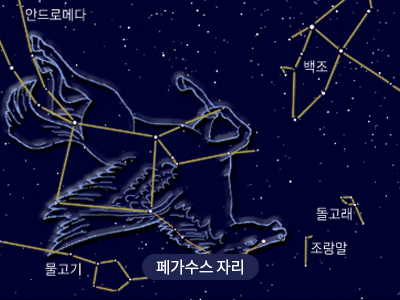 페가수스                                                                                                
