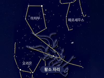 황소                                                                                                  